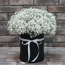 Цветочная композиция из Гипсофила в шляпной коробке в Надыме