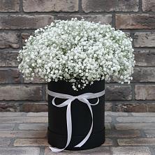 Цветочная композиция из Гипсофила в шляпной коробке в Надыме