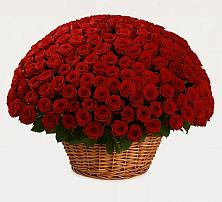 Премиум букет из: Розы в Надыме